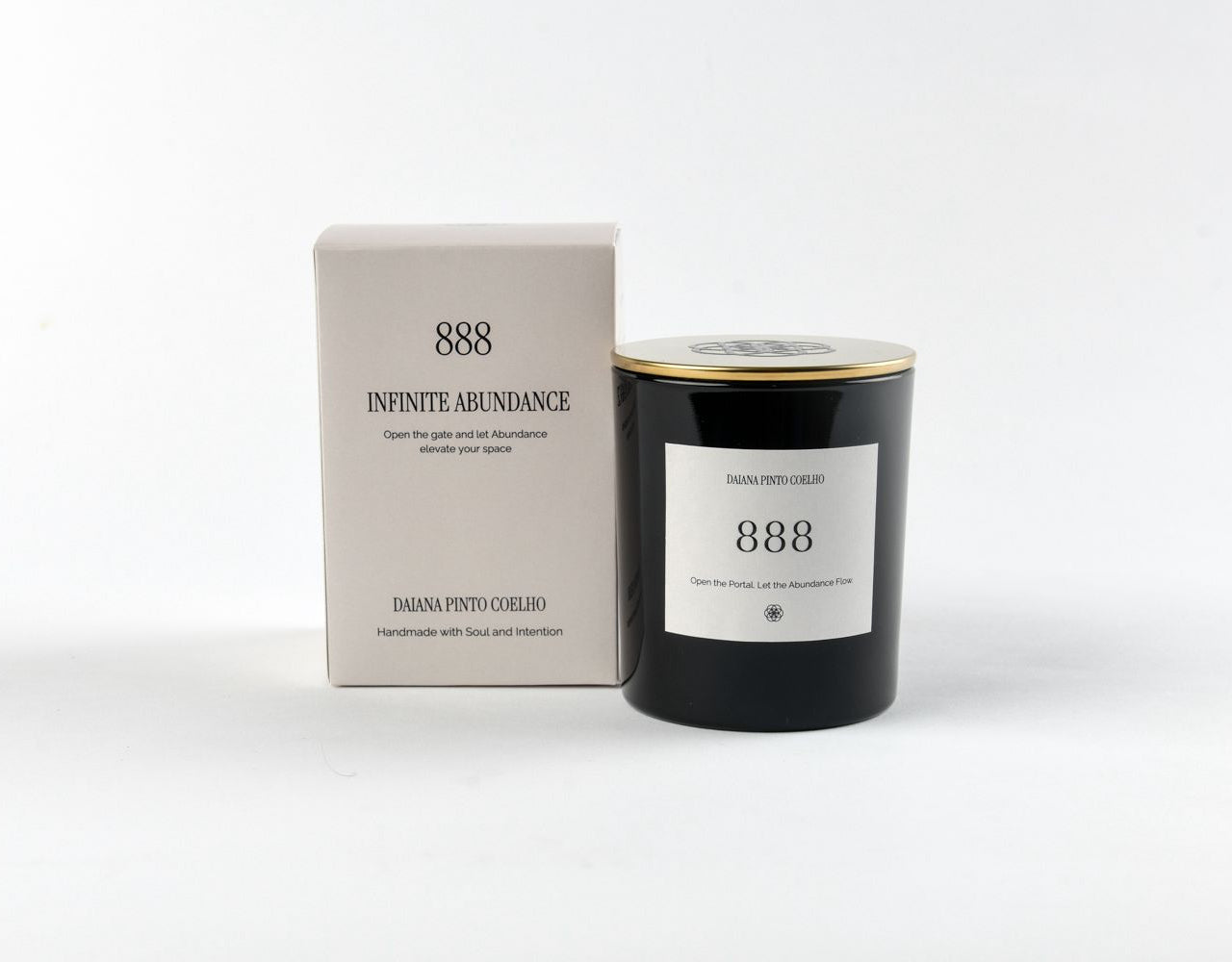 INFINITE ABUNDANCE 888 |45H QUEIMA)