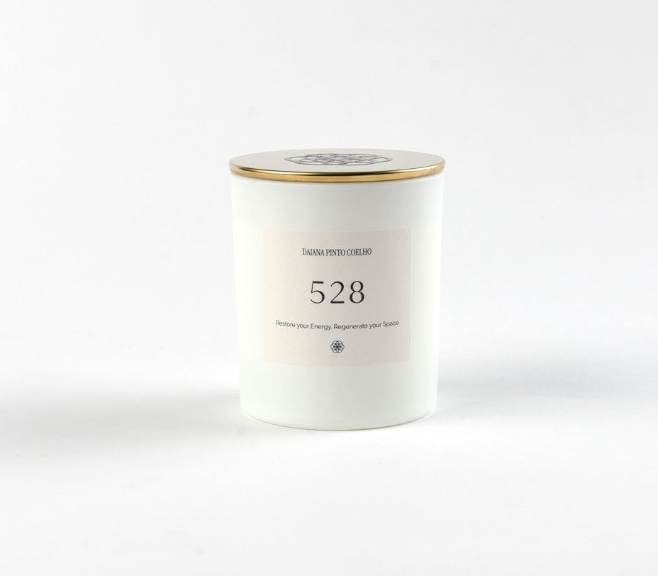 REGENERATIVE ENERGY 528 |45H QUEIMA