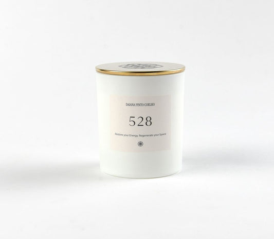 REGENERATIVE ENERGY 528 |45H QUEIMA